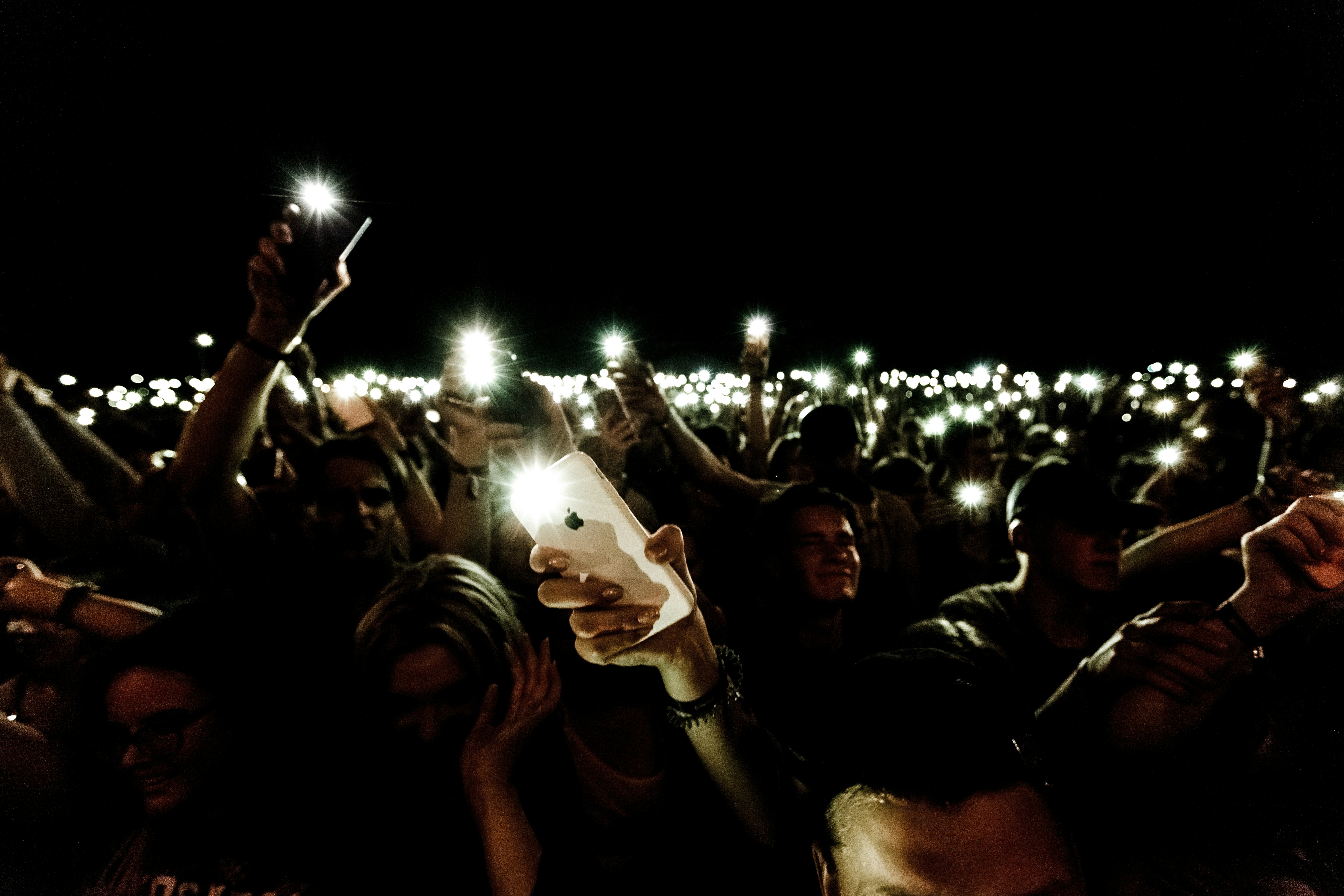Loyal fans of artist or musician